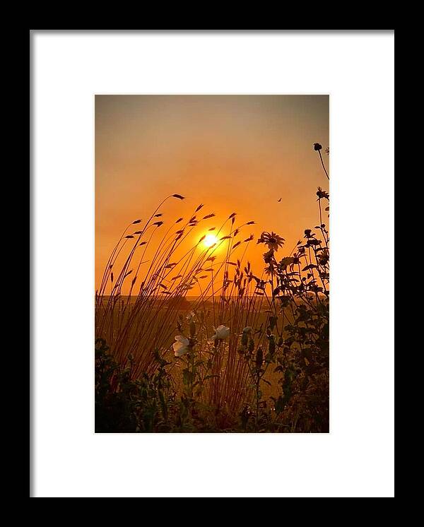 Iphonography Framed Print featuring the photograph IPhonography Sunset 2 by Julie Powell