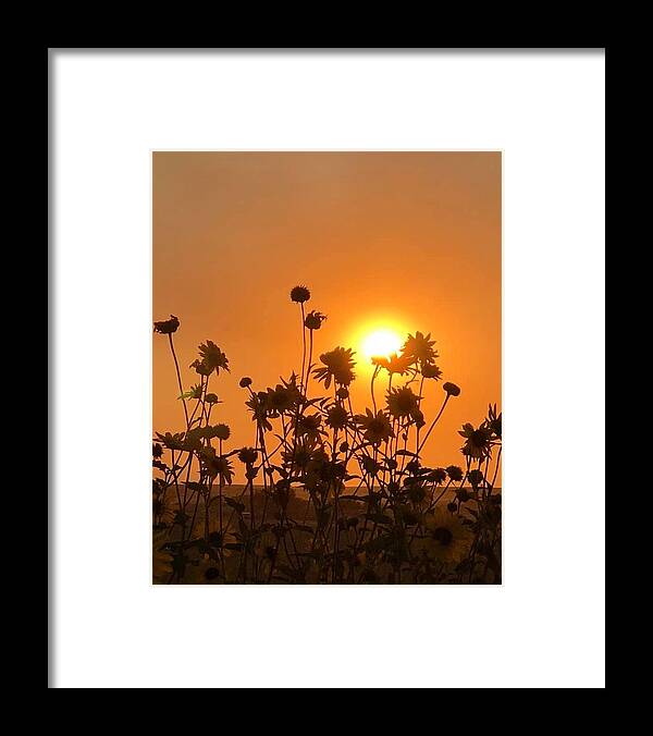 Iphonography Framed Print featuring the photograph iPhonography Sunset 4 by Julie Powell
