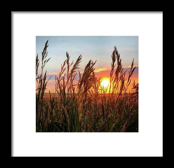 Iphonography Framed Print featuring the photograph Iphonography Sunset 5 by Julie Powell