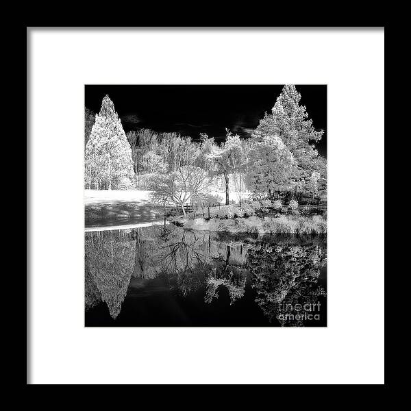 B&w Framed Print featuring the photograph IR reflections in a park by Izet Kapetanovic