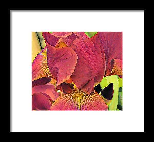Flowers Framed Print featuring the painting Iris by Marilyn Smith
