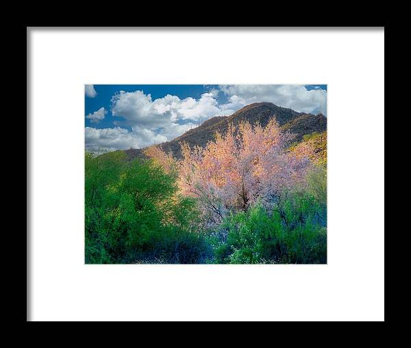 Waywardmuse Framed Print featuring the photograph Ironwood Flame by Judy Kennedy