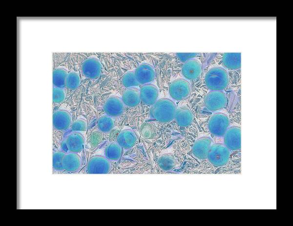 Abstract Framed Print featuring the photograph Irresistible Blue by Elvira Peretsman