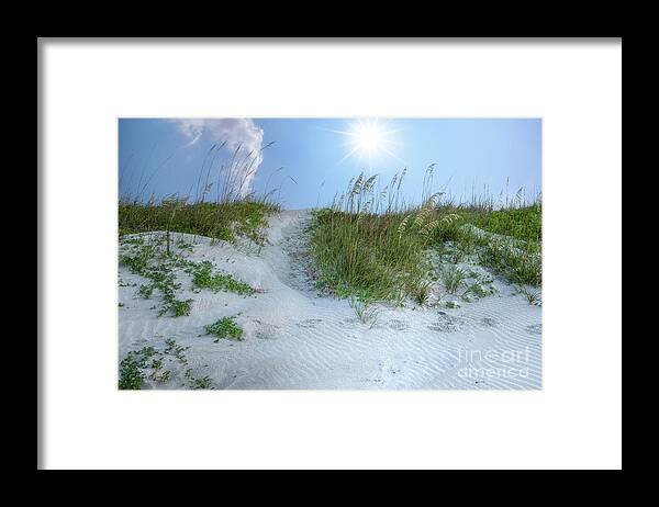 Beach Framed Print featuring the photograph Isle of Palms Sand Dunes - Sunny Skies by Dale Powell