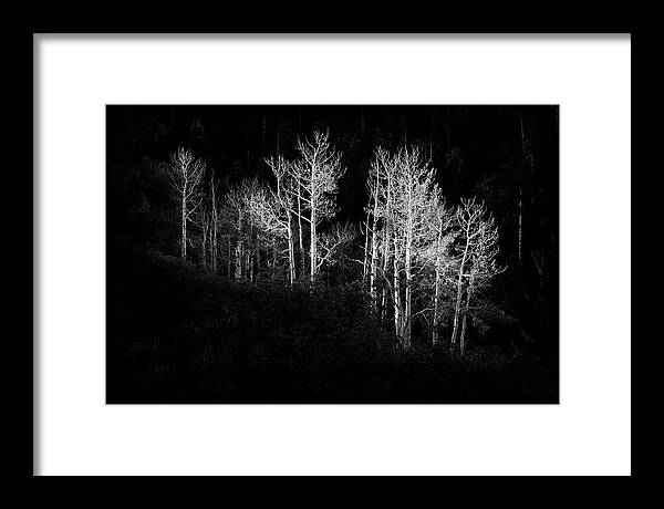 Black And White Framed Print featuring the photograph Isolated by Light by Jon Glaser