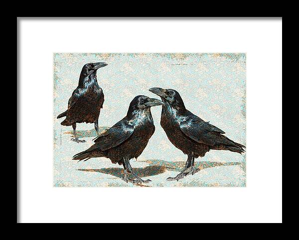 Raven Framed Print featuring the photograph It's Those Guys by Mary Hone