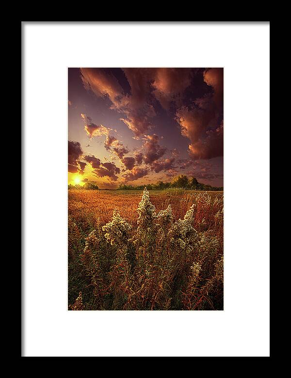 Inspirational Framed Print featuring the photograph It's Worth Reaching For by Phil Koch