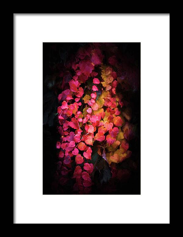 Ivy Framed Print featuring the photograph Ivy of Autumn by Philippe Sainte-Laudy