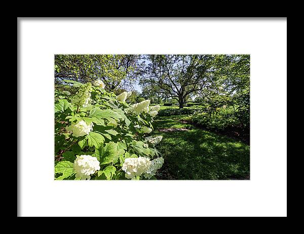 Garden Framed Print featuring the photograph Jackson Park Garden #1 by Britten Adams