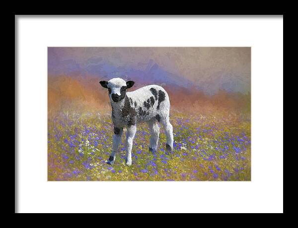 Jacob Sheep Framed Print featuring the photograph Jacob's Lamb by Donna Kennedy