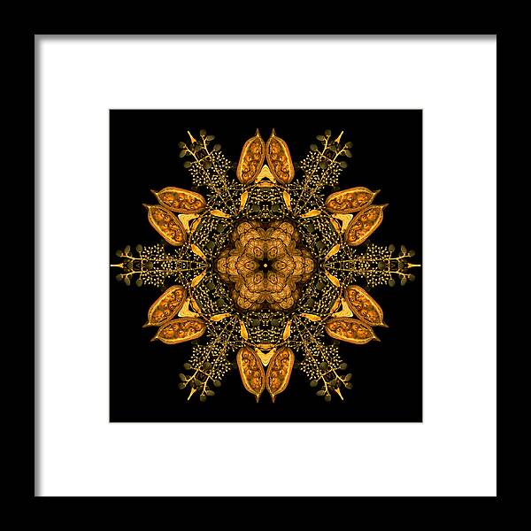 Mandala Framed Print featuring the photograph January Jewels VI by Marsha Tudor