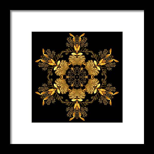 Mandala Framed Print featuring the photograph January Jewels XI by Marsha Tudor