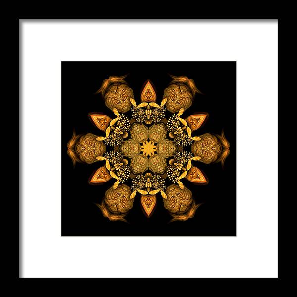 Mandala Framed Print featuring the photograph January Jewels XII by Marsha Tudor