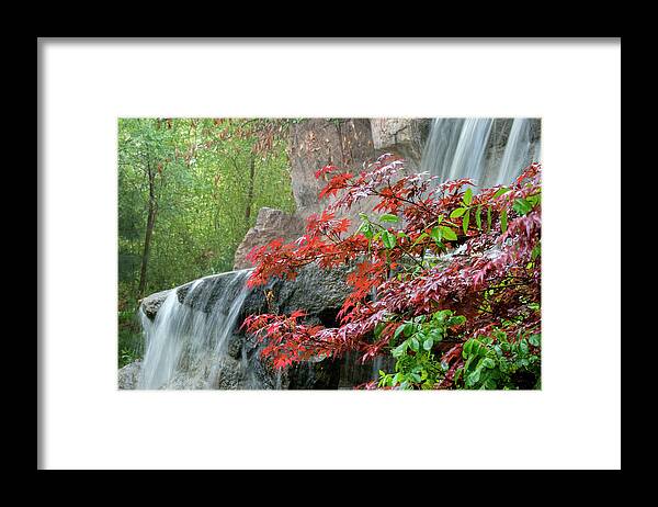 Japanese Framed Print featuring the photograph Japanese Garden Waterfall Albuquerque by Mary Lee Dereske