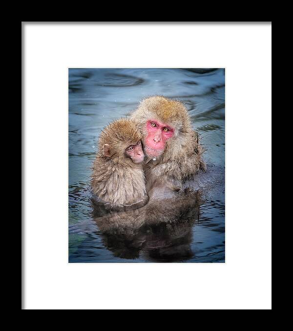 Japan Framed Print featuring the photograph Japanese Snow Monkey Mom and Baby II by Joan Carroll