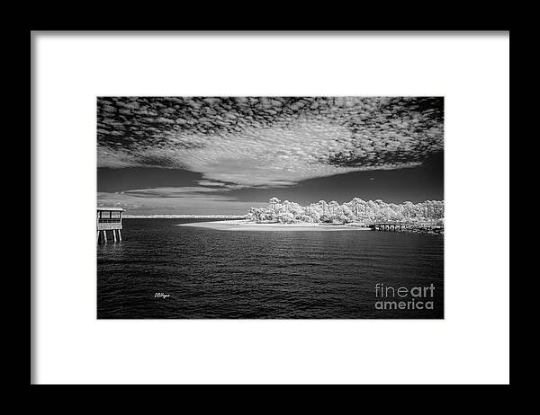 Black Framed Print featuring the photograph Jekyll Island Treasure in Black and White Infrared PhotoArt by DB Hayes