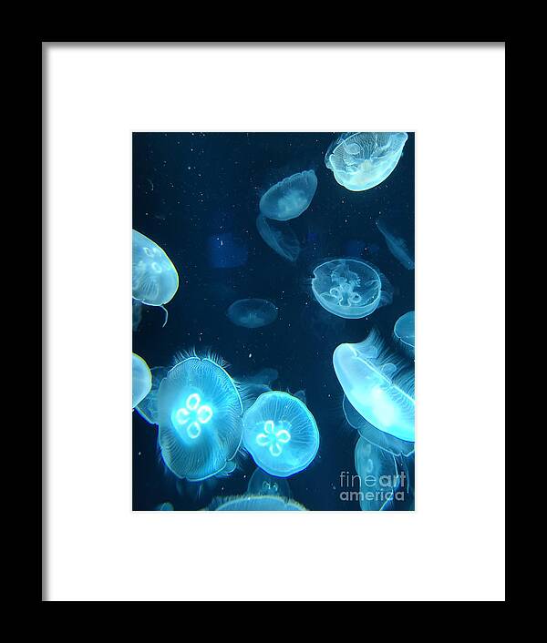 Jellyfish Framed Print featuring the pyrography Jellies 3 by Elena Pratt