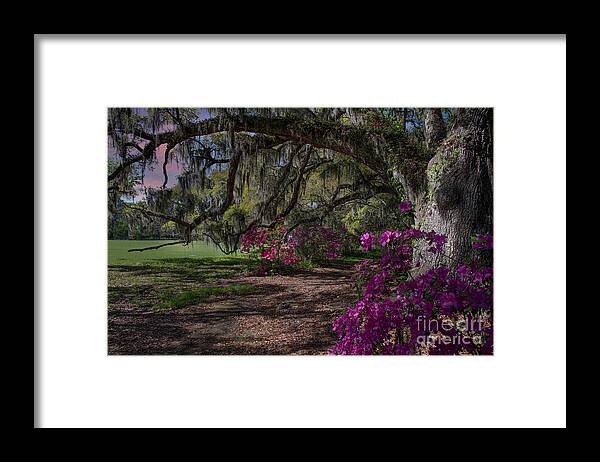 Magnolia Plantation Framed Print featuring the photograph Jewel of the South - Magnolia Plantation by Dale Powell