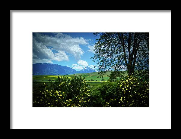 Mountain Framed Print featuring the photograph Joseph Meadow by Loyd Towe Photography