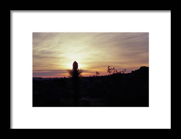 Tom Daniel Framed Print featuring the photograph Joshua Candle #1 by Tom Daniel