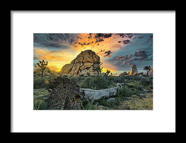 California Framed Print featuring the photograph Joshua Tree National Park 4 by Donald Pash