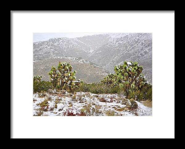 Joshua Trees Framed Print featuring the photograph Joshua Tree Snowy Landscape by Brian Tada