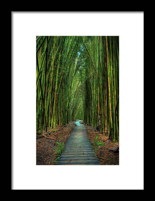  Framed Print featuring the photograph Journey by Hawaii Fine Art Photography