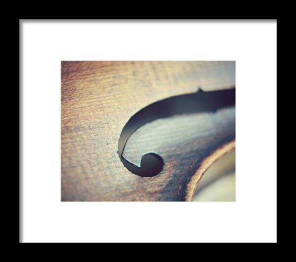 Violin Framed Print featuring the photograph Joyful Sounds by Lupen Grainne