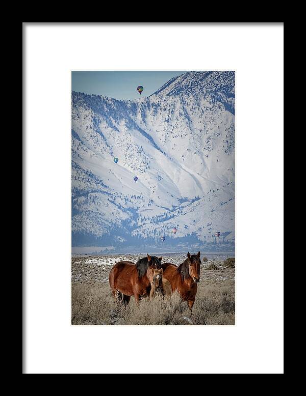 Horses Framed Print featuring the photograph Jtr56979 by John T Humphrey