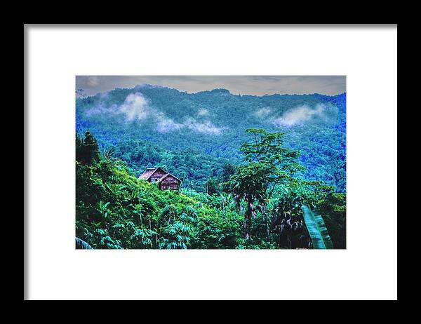 Malaysia Framed Print featuring the photograph Jungle Home, 1996, Kodachrome 64 by Frank Lee