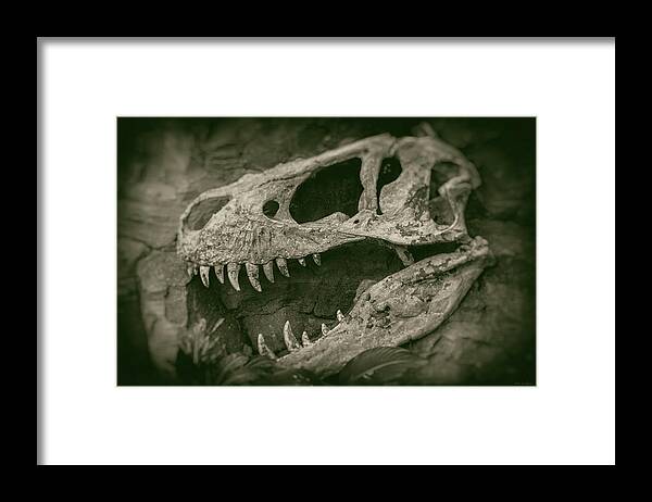 Tyrannosaurus Framed Print featuring the photograph Jurassica by Wim Lanclus