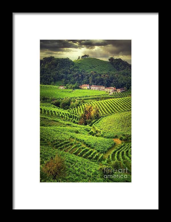 Prosecco Framed Print featuring the photograph Just after the storm by The P