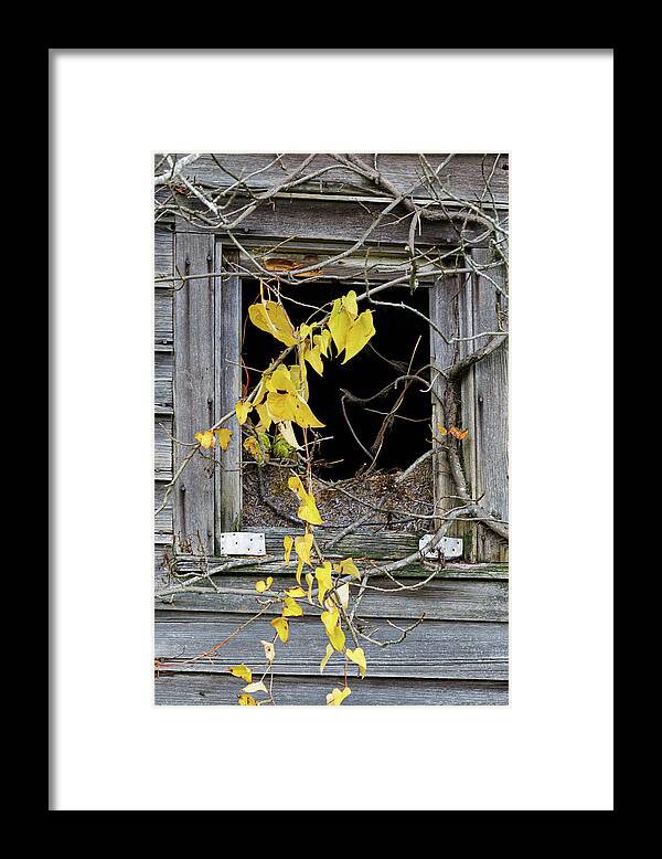 Old House Framed Print featuring the photograph Just Hangin' by Steve Templeton