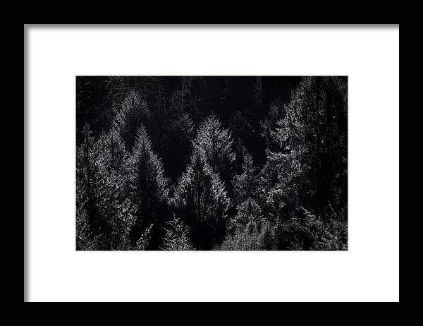 Coastalforest Framed Print featuring the photograph Just the highlights by Bill Posner