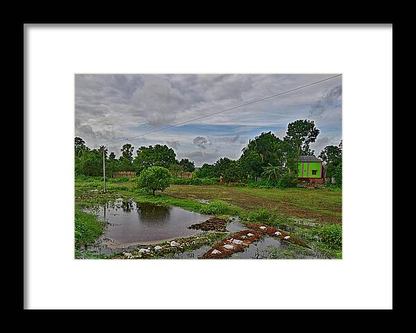 Jute Framed Print featuring the photograph Jute Harvesting - Bangladesh by Amazing Action Photo Video