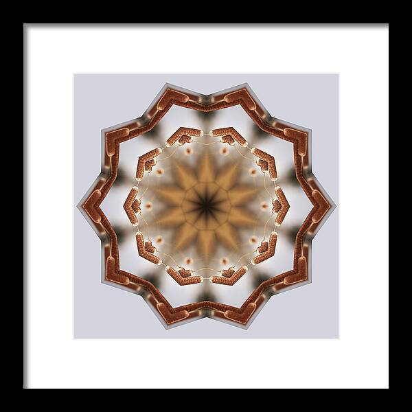 Cattail Framed Print featuring the photograph CattailiattaC- Kaleidoscope Mandala of Cattail pair by Peter Herman
