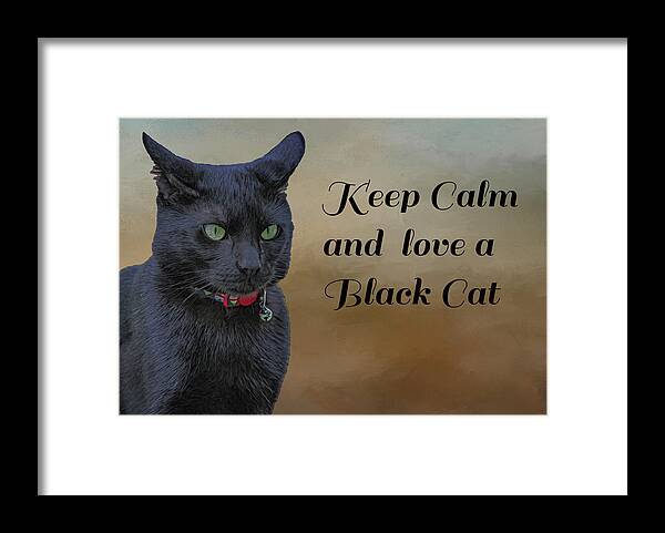 Cat Framed Print featuring the photograph Keep Calm by Cathy Kovarik