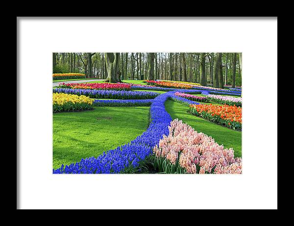 Europe Framed Print featuring the photograph Keukenhof Gardens II by Jim Miller