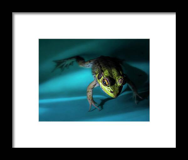 Frog Framed Print featuring the photograph Flying in a Blue Dream by Jerry LoFaro