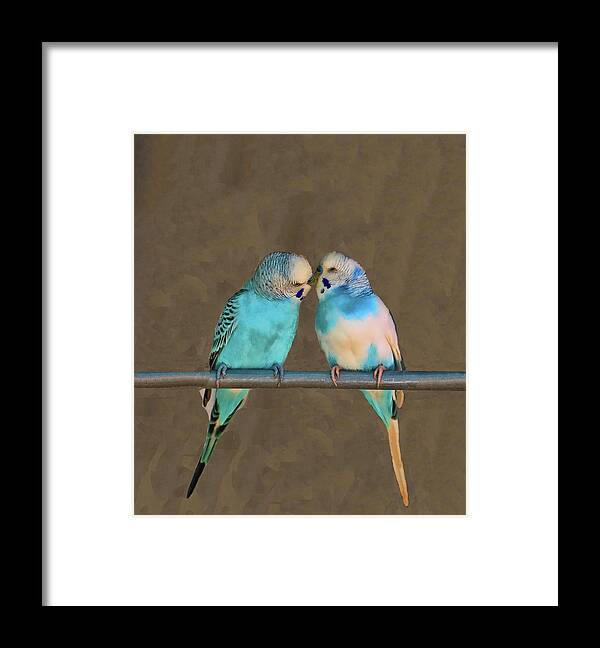 Parakeet Framed Print featuring the photograph Kissing Cousins by Allen Beatty