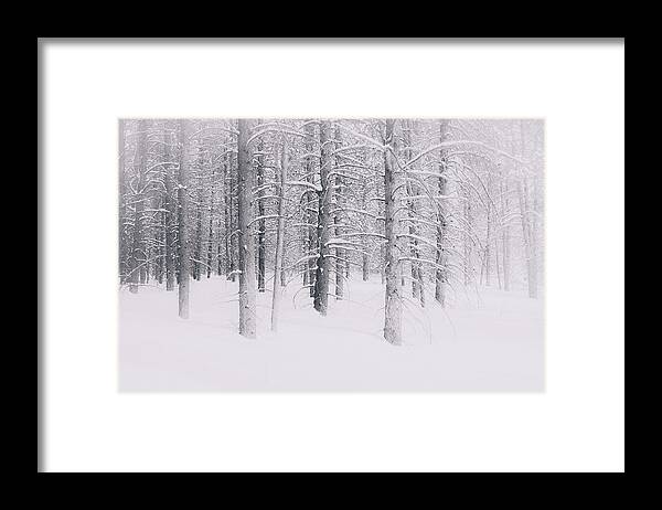 Snow Framed Print featuring the photograph Knee Deep by The Forests Edge Photography - Diane Sandoval