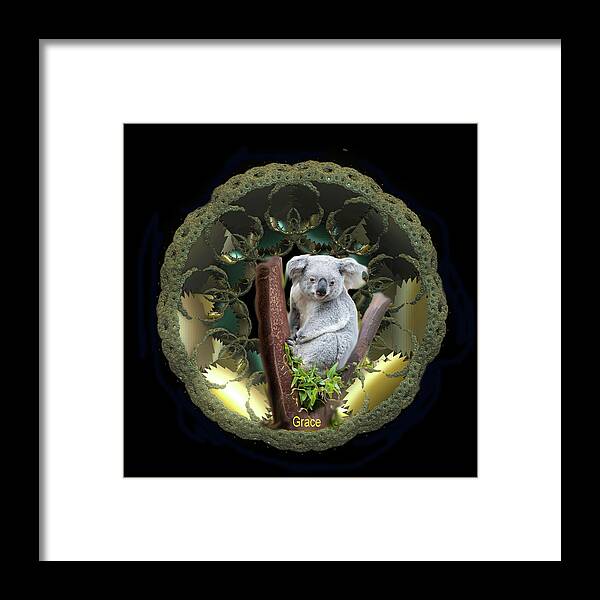 Koala Framed Print featuring the mixed media Koala 3 by Julie Grace