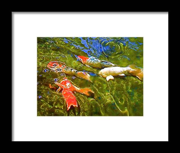 Fish Framed Print featuring the photograph Koi 1 by Pamela Cooper