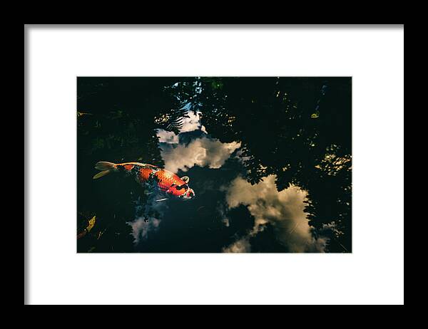 Koi Framed Print featuring the photograph Koi and Sky by Ada Weyland