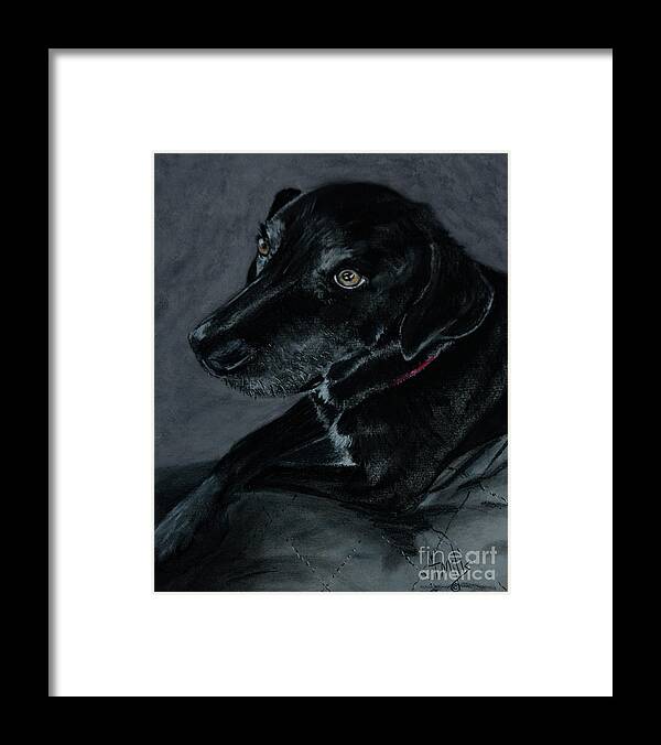 Drawing Framed Print featuring the drawing Lab Mix by Terri Mills