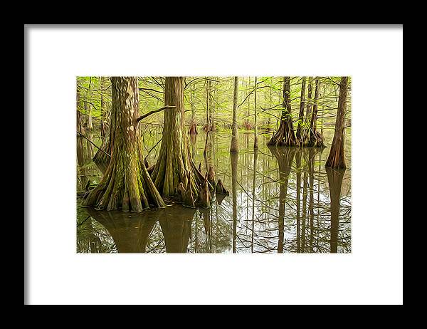 Lake Chicot State Park Framed Print featuring the photograph Lake Chicot 02 OP by Jim Dollar