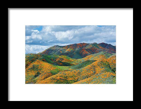 California Poppy Framed Print featuring the photograph Lake Elsinore Poppy Hills by Kyle Hanson
