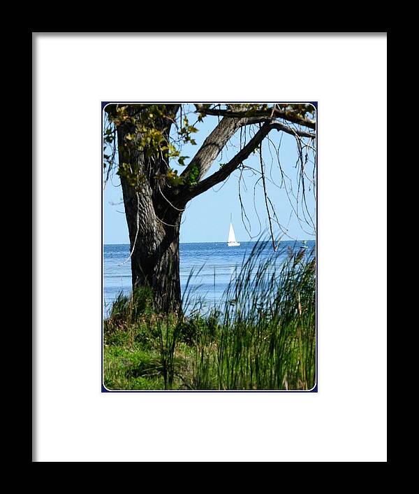 Boat Framed Print featuring the photograph Lake Erie calm by Judy Stepanian