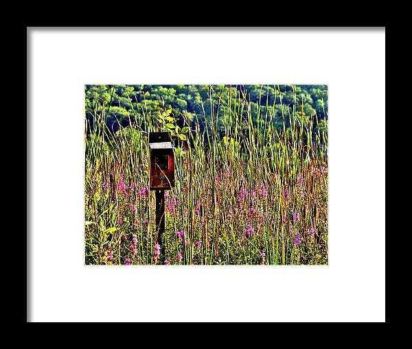 Lake Winona Framed Print featuring the photograph Lake Home by Susie Loechler