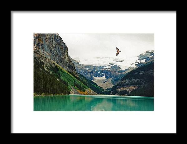 Tranquility Framed Print featuring the photograph Lake Louse summer with hawk flying over lake by Wwing